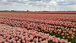 20170419_140936.jpg