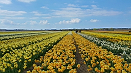 20170419_150705.jpg