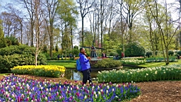 17_01360.JPG