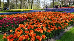 17_01429.JPG
