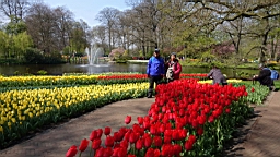 17_01435.JPG