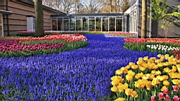 2017-04-20--15472.JPG