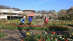 2017-04-20--15483.JPG