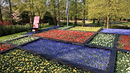 2017-04-20--15485.JPG