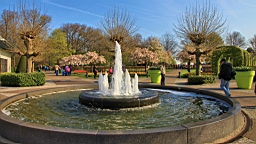 2017-04-20--15488.JPG