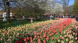 2017-04-20--15500.JPG