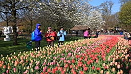 2017-04-20--15507.JPG