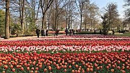 2017-04-20--15520.JPG