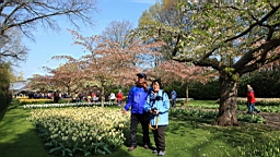 2017-04-20--15557.JPG