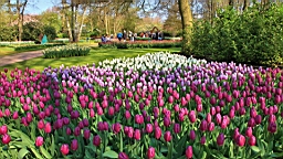 2017-04-20--15562.JPG