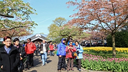 2017-04-20--15578.JPG