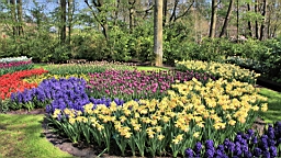2017-04-20--15598.JPG