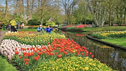 2017-04-20--15610.JPG