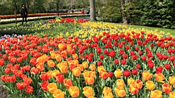 2017-04-20--15613.JPG