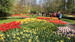 2017-04-20--15615.JPG