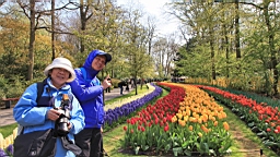 2017-04-20--15621.JPG