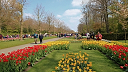 2017-04-20--15624.JPG
