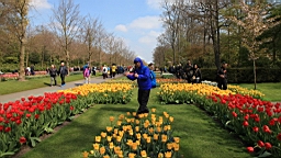 2017-04-20--15625.JPG