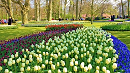 2017-04-20--15635.JPG