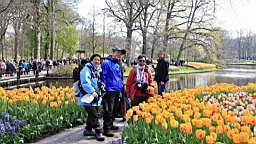 2017-04-20--15643.JPG