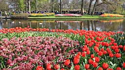 2017-04-20--15645.JPG