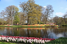 2017-04-20--15650.JPG