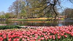 2017-04-20--15655.JPG