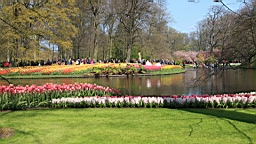 2017-04-20--15656.JPG