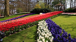2017-04-20--15665.JPG