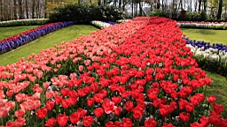 2017-04-20--15666.JPG