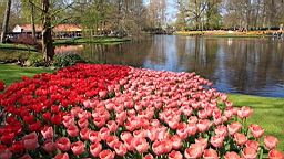 2017-04-20--15667.JPG