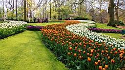 2017-04-20--15673.JPG