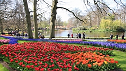 2017-04-20--15682.JPG