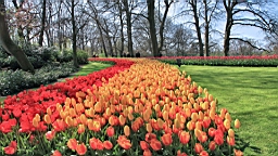 2017-04-20--15688.JPG