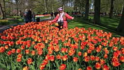 2017-04-20--15692.JPG