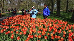 2017-04-20--15693.JPG
