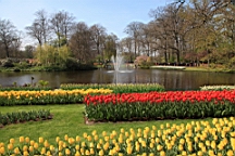 2017-04-20--15696.JPG