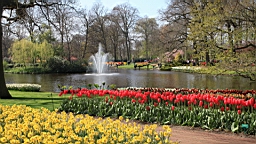 2017-04-20--15698.JPG