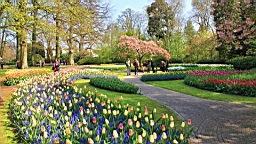 2017-04-20--15699.JPG