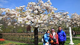 2017-04-20--15717.JPG