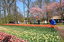 2017-04-20--15731.JPG