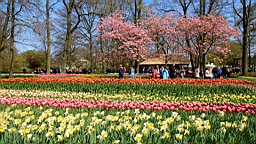 2017-04-20--15733.JPG