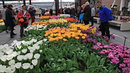 2017-04-20--15747.JPG