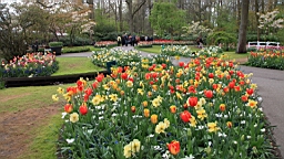 2017-04-20--15764.JPG