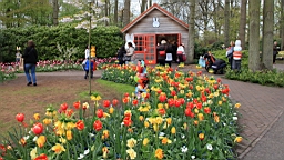 2017-04-20--15765.JPG