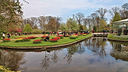 2017-04-20--15767.JPG