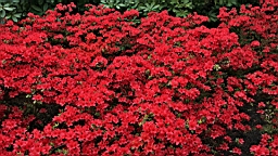 2017-04-20--15769.JPG