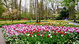 2017-04-20--15774.JPG