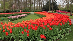 2017-04-20--15776.JPG