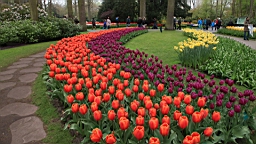 2017-04-20--15777.JPG